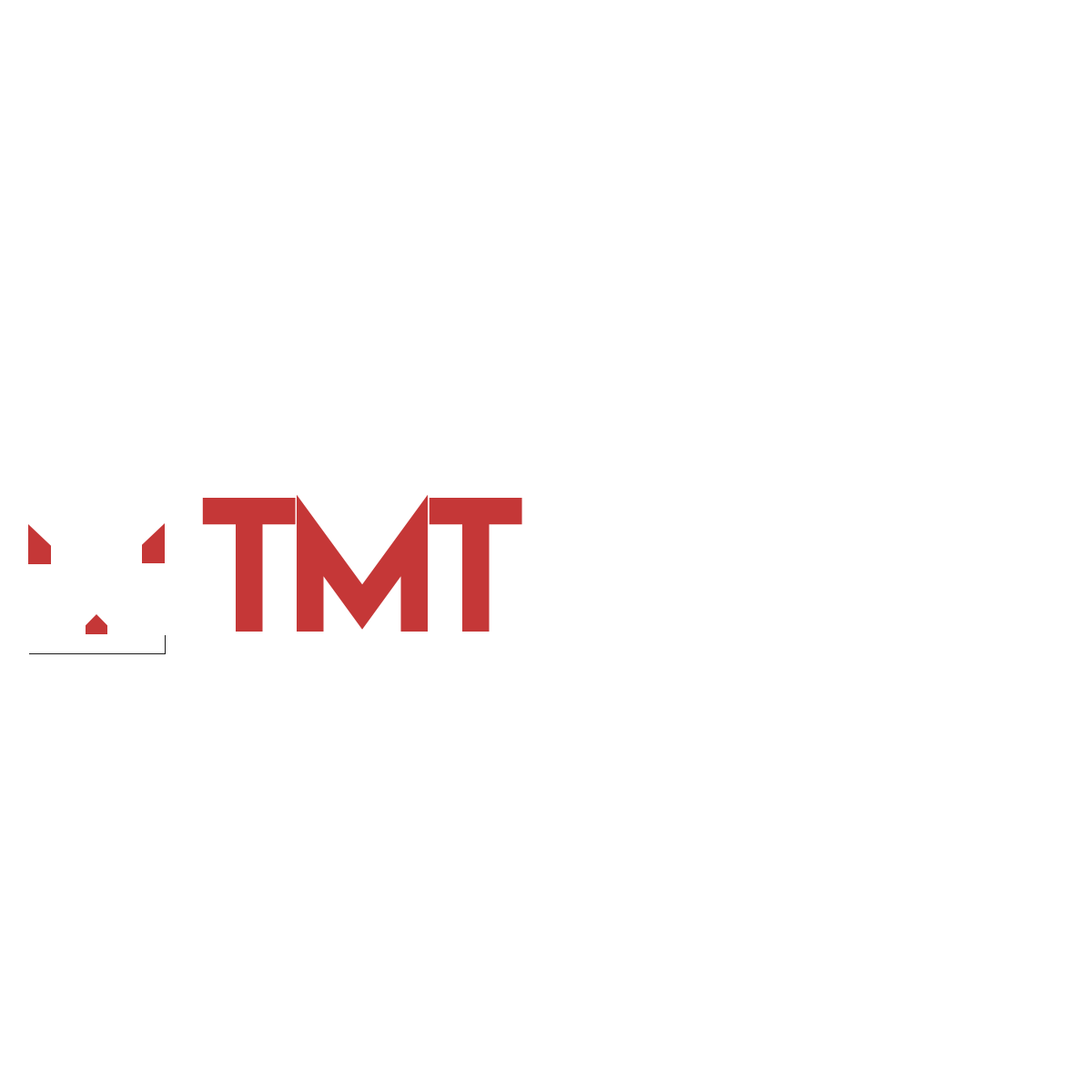 TMT Medya